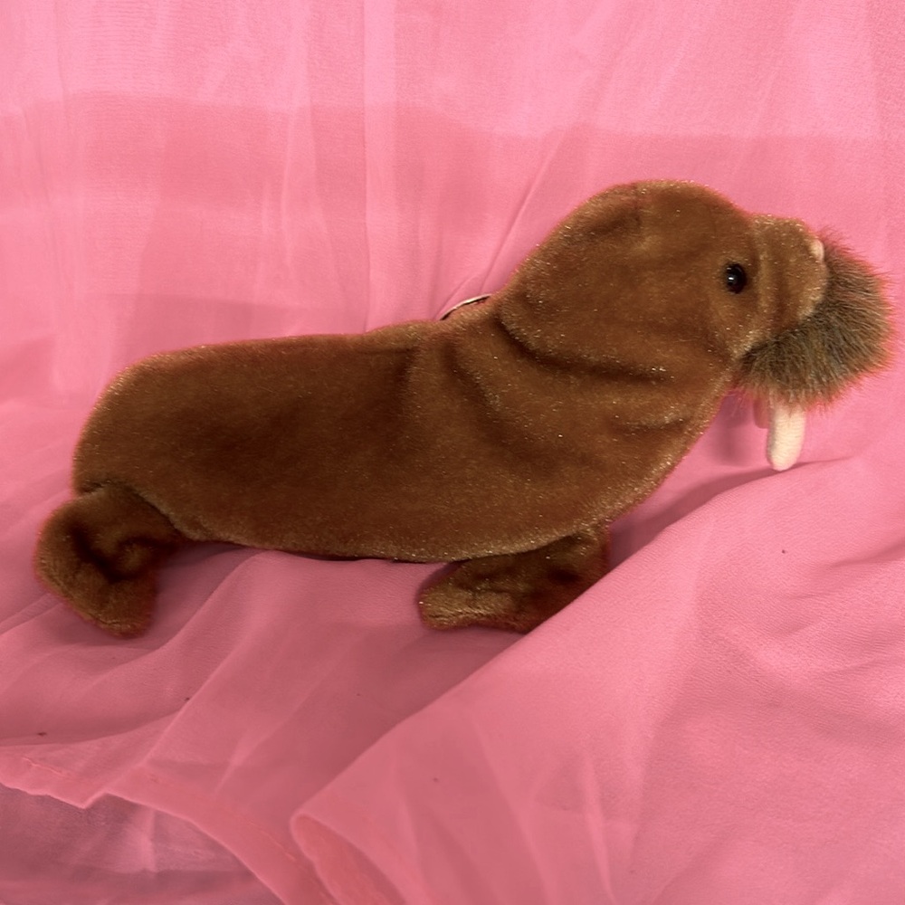Ty Beanie Baby Paul the Walrus DOB 2/23/1999 Orig. Tags w/ Errors Beanbag Plush